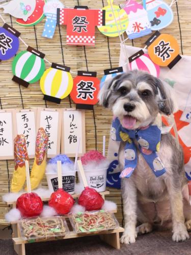 20240706パピコくん